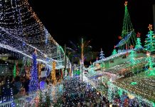 Veja como ficou a casa mais iluminada de Blumenau neste Natal