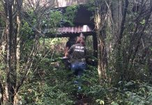 IGP identifica homens encontrados mortos em Blumenau