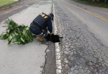 Polícia Rodoviária alerta para cratera que se abriu na BR-470