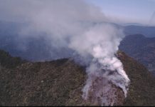 Incêndio no Spitzkopf: reserva natural de Blumenau ardeu por cinco dias