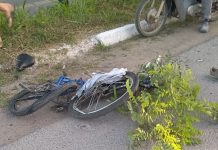 Motorista atropela e mata ciclista na BR-470 e foge sem prestar socorro