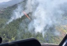 Bombeiros de Blumenau trabalham para evitar que incêndio chegue ao Parque São Francisco