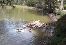 Caminhão carregado com madeira cai na barragem do Pinhal e uma pessoa morre
