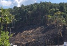 Bombeiros do Vale registram nove incêndios em vegetação no intervalo de duas horas
