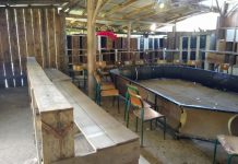 Polícia Militar descobre galpão para rinha de galos