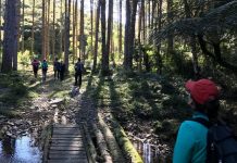 Alimentação pré-treino: o que comer antes da corrida