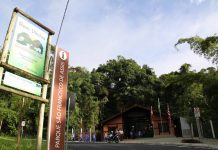 Parque São Francisco de Assis será reaberto ao público após reparos