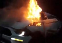 Empresário escapa de carro que pegou fogo após bater em árvore