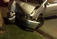 Condutor embriagado bate em árvore e deixa três pessoas feridas no Garcia