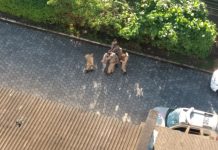 Polícia faz cerco na região do Belchior e do Morro do Baú atrás de assaltantes