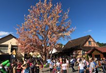 Galeria de fotos: Primeiro fim de semana de Osterfest recebe milhares de pessoas