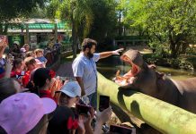 Zoo Pomerode conecta crianças ao tema da conservação ambiental