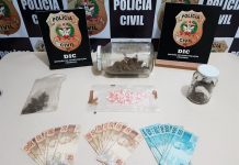 Jovem é preso após encomendar ecstasy pelos Correios