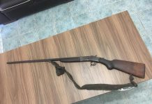 Polícia prende homem que matou três cães a tiros