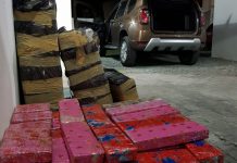 PRF e PM aprendem 244 kg de maconha na BR-101