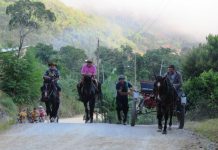 Fiéis fazem peregrinação até o Santuário de Santa Paulina