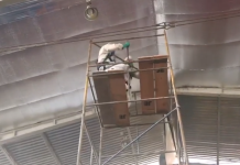 Prefeitura inicia limpeza de ginásio escolar invadido por pombos