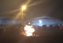 VÍDEO: Mulher dirige na contramão e colide de frente com caminhão na BR-101