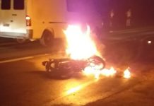 Motociclista bate de frente em ônibus e morre na BR-280