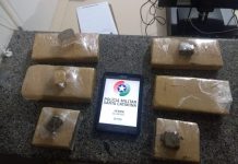 Seis pessoas são detidas por tráfico de drogas, em Blumenau