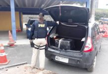 Polícia Rodoviária Federal prende homem com 76 quilos de maconha em Blumenau