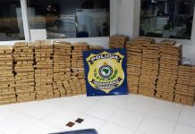 PRF apreende 820 quilos de maconha, na BR-101