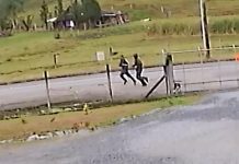 VÍDEO: Suspeitos de incendiar homem vivo em Blumenau aparecem em câmera de segurança