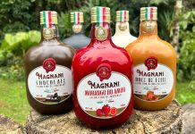 Conheça o licor “Morango do Amor Magnani” produzido em Santa Catarina e que está conquistando Brasil