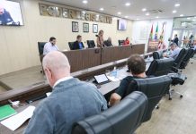 Câmara aprova projeto que obriga instalação de placas sobre entrega legal de bebês para adoção em Blumenau