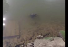 Corpo é encontrado no rio enquanto homem pescava em Balneário Piçarras