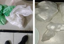 Homem é detido com munições, faca e quase 800 gramas de cocaína em Blumenau