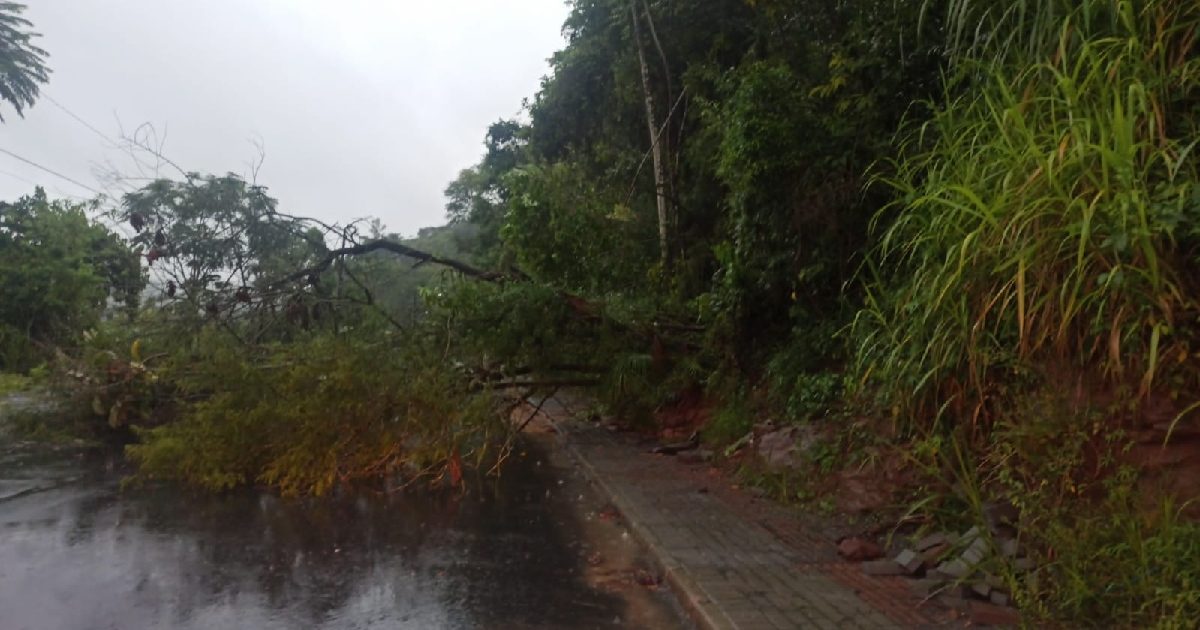 Prefeitura realiza alterações no trânsito de Blumenau devido queda de barreira e alagamentos