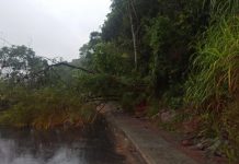 Prefeitura realiza alterações no trânsito de Blumenau devido queda de barreira e alagamentos