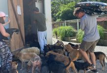 VÍDEO – Policiais entregam doação recorde para o Sítio Dona Lúcia, em Blumenau