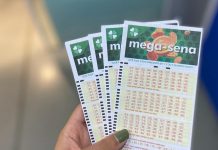 Apostas de 11 blumenauenses acertam a quadra na Mega-Sena; confira valores