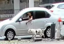 Motorista é flagrado arrastando cachorro pela coleira no Vale do Itajaí
