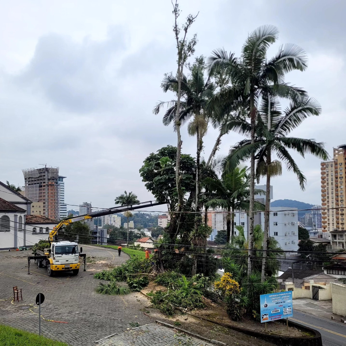 Árvore sexagenária que apresentava risco de queda é removida de igreja luterana de Blumenau