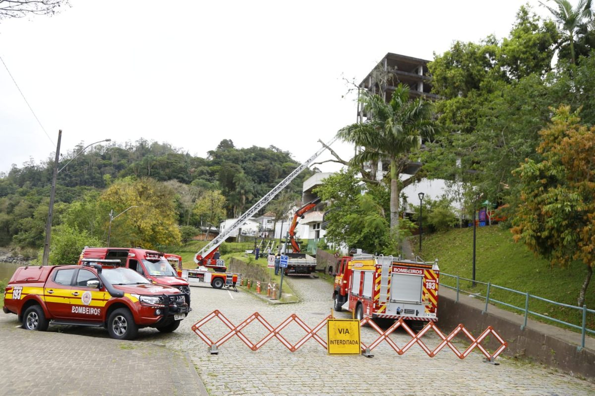 Corte de árvore deixa via temporariamente interditada no Centro de Blumenau