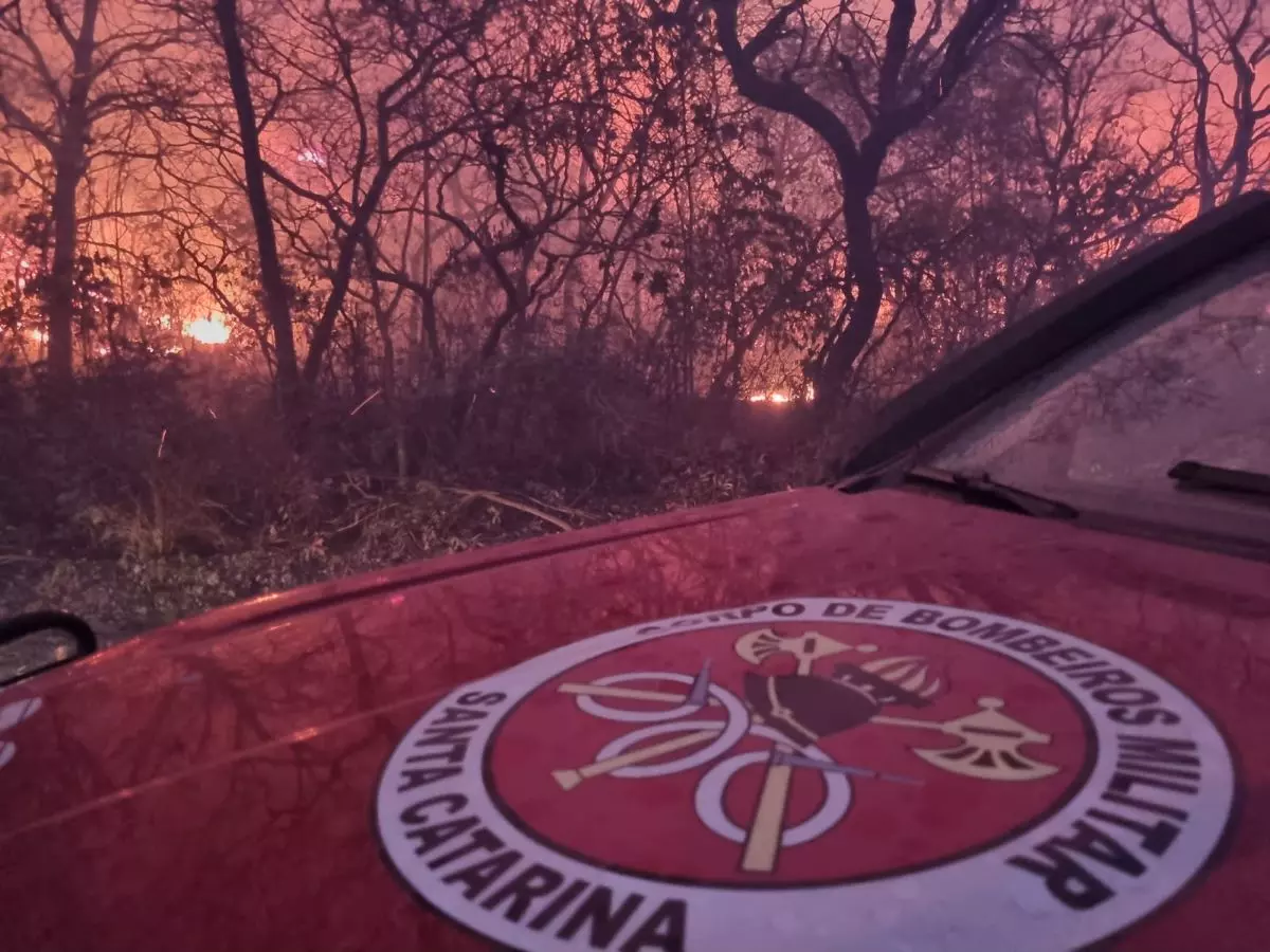 Confira detalhes da atuação dos bombeiros catarinenses no combate aos incêndios no Mato Grosso