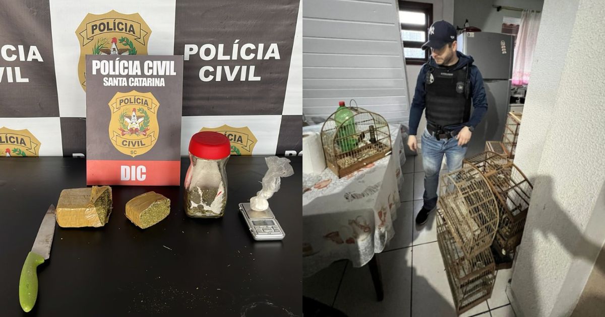 Polícia Civil prende suspeitos de dupla tentativa de homicídio, em Blumenau