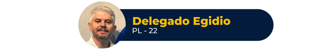 Trajetórias profissional e política: confira o currículo dos candidatos a prefeito de Blumenau