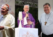 Quem são os cardeais catarinenses que poderão participar do conclave para escolha de um novo Papa