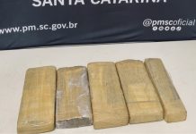 Familiares tentam impedir prisão, mas homem é detido por tráfico de drogas em Blumenau