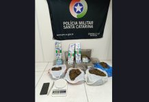 Homem é preso com maconha escondida em mala em Gaspar