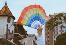 Câmara de Blumenau acata dois vetos aos projetos destinados à população LGBTQIAPN+ Câmara de Blumenau acata dois vetos aos projetos destinados à população LGBTQIAPN+