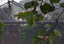 Chuva forte continua? Saiba a previsão do tempo desta segunda-feira para Blumenau