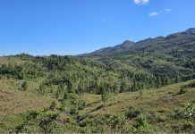 campos de altitude de sc