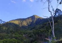 Helicóptero Arcanjo resgata mulher com fratura no antebraço em trilha no Vale do Itajaí