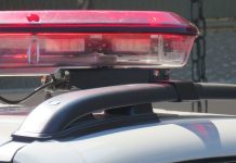 Motorista embriagado é preso após avançar operação de trânsito em Indaial