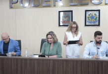 Câmara aprova criação de programa para divulgação de animais perdidos em Blumenau